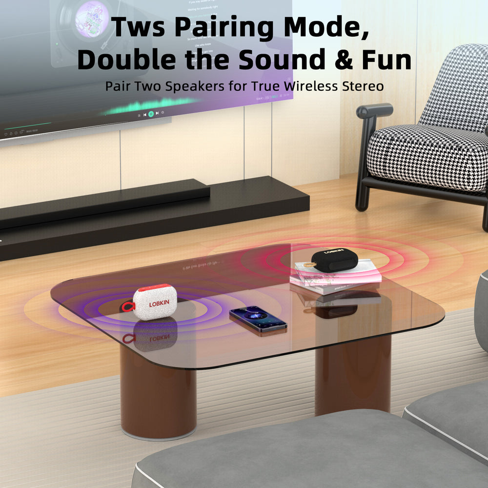 LOBKIN ES10 Black Portable Speaker Stereo Pairing Feature